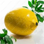 Рекламная фигура Лимон U09514 стеклопластик 76*52*52 см U09514 - фото 127416