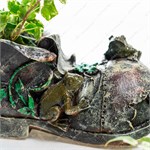 кашпо для суккулентов
