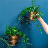 Настенная подставка для 2 кашпо с цветами 15-102 15-102 - фото 127771