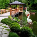 Фигуры в сад фото