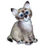 Котенок F07838