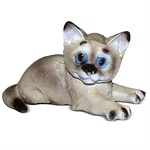 Котенок F07841 Котенок F07841