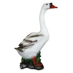 Гусь фото Гусь фото