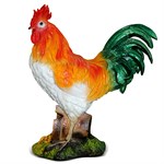 Петух фото Петух фото