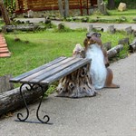 Детская лавка