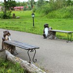 Лавка для парка