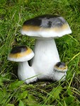 Садовая фигура из полистоуна Грибы F03060 h=40см F03060 - фото 14552 Садовая фигура из полистоуна Грибы F03060 h=40см F03060 - фото 14552