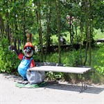 Скамейка садовая крот