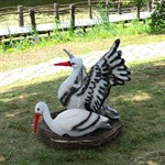 Аисты в гнезде