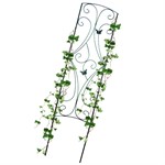 Шпалера для винограда