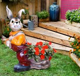 Кашпо фото Кашпо фото