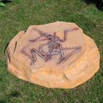 Крышка люка U07204