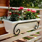 Кованая подставка для цветов