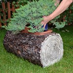 для декора в саду