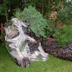 Кашпо для сада Пень U07898 стеклопластик U07898 - фото 15535