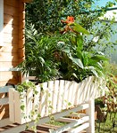 Кашпо для цветов за 770 уб. Кашпо для цветов за 770 уб.