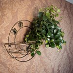 Подставка на стену под два растения