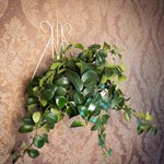 Настенная подставка под цветок 14-661 - фото 17233