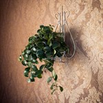 Настенная подставка под цветок 14-661 - фото 17234