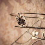 Цветочница настенная 