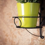 Подставка настенная на 1 цветок 15-421 15-421 - фото 17248