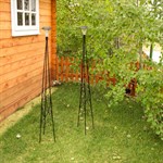 Шпалера для винограда Шпалера для винограда