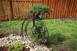 Велосипед для цветов
