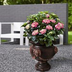 Вазон для цветов