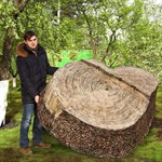 Декоративная крышка для септика Декоративная крышка для септика