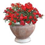 Вазон для цветов