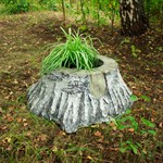 Кашпо пень для дачи Кашпо пень для дачи