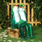 Лягушка фото