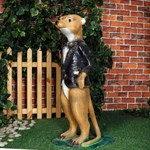 Животные фото