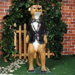 Сурикат фото