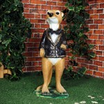 Сурикат фото