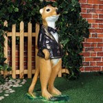 Сурикат купить