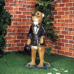 Сурикат фото