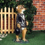 Животные сурикат