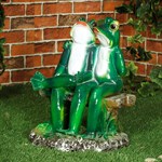 2 лягушки фото