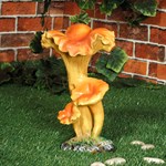 Лисички грибы