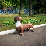 Парковая скамейка собака