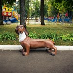 Скамейка для сада такса