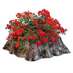 Кашпо для цветов