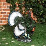 Индюк для сада