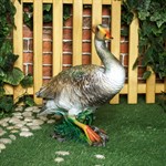 Дикая утка Дикая утка