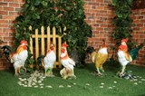 Петухи для сада Петухи для сада