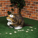 Бобер купить