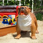 Купить садовую фигуру