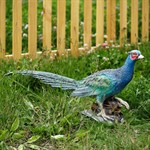 Фазан фигура для сада