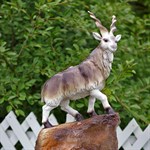 Садовый фонтан фото Садовый фонтан фото